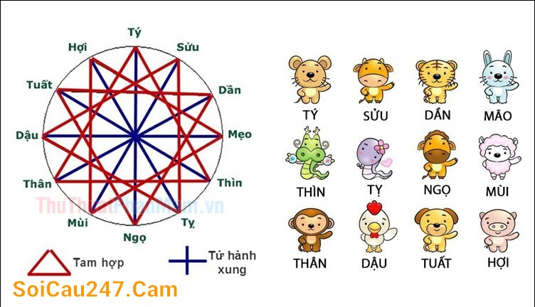 soi cầu 247