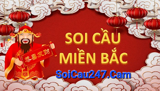 soi cầu 247