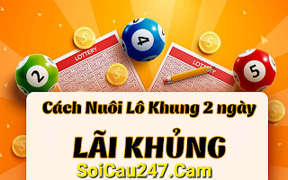 soi cầu 247