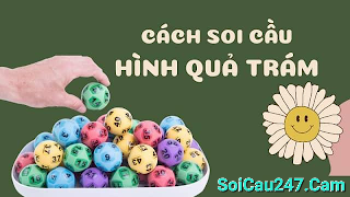 soi cầu 247