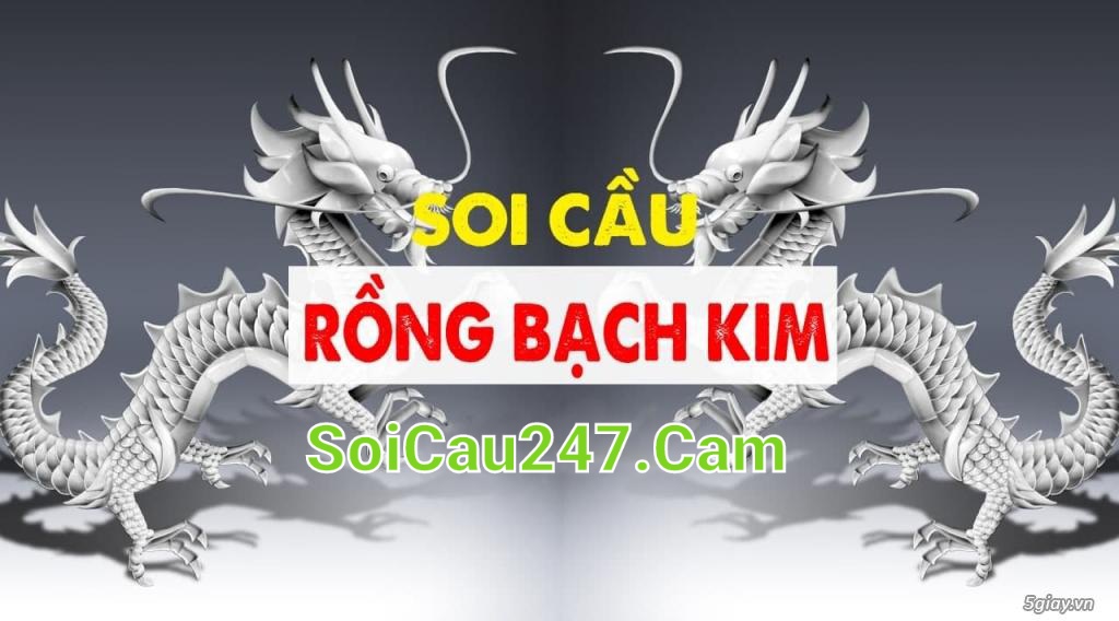 soi cầu 247